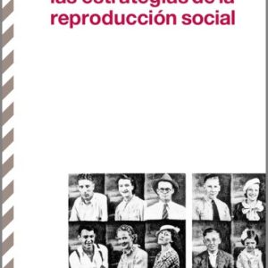 Las estrategias de la reproducción social