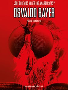 ¿Qué debemos hacer los anarquistas?